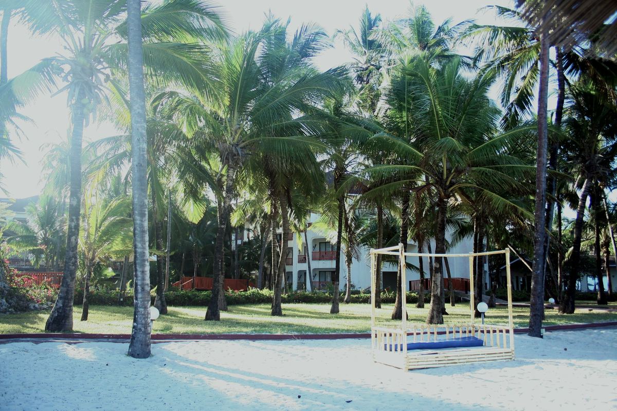 Palm trees and a quiet beachfront garden on the south coast
